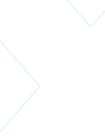 XL Satu Biz Vector